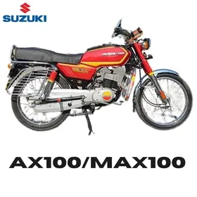 MAX 100